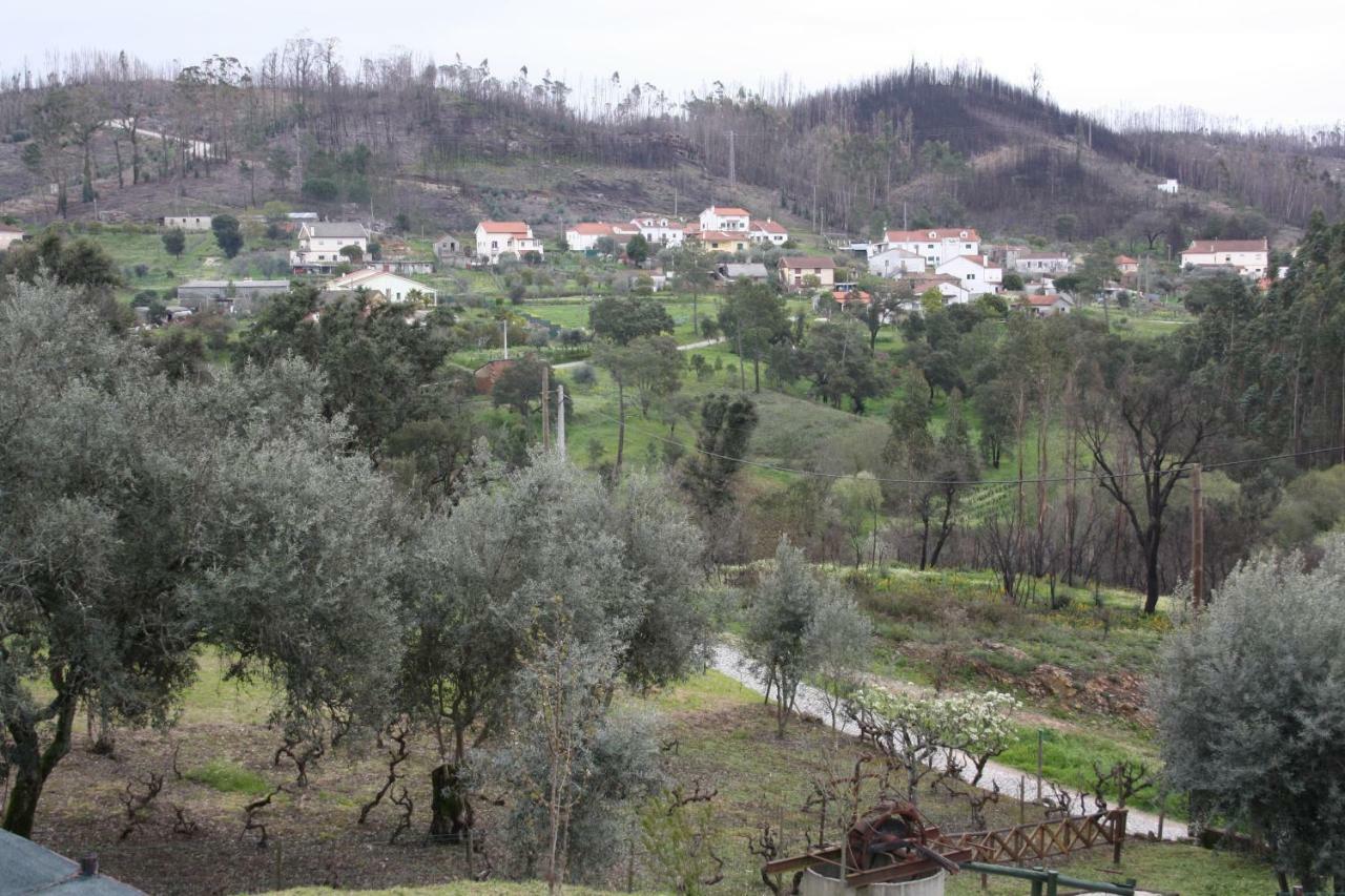 Quinta De S. Luis - Valada Villa Figueiro Dos Vinhos Buitenkant foto